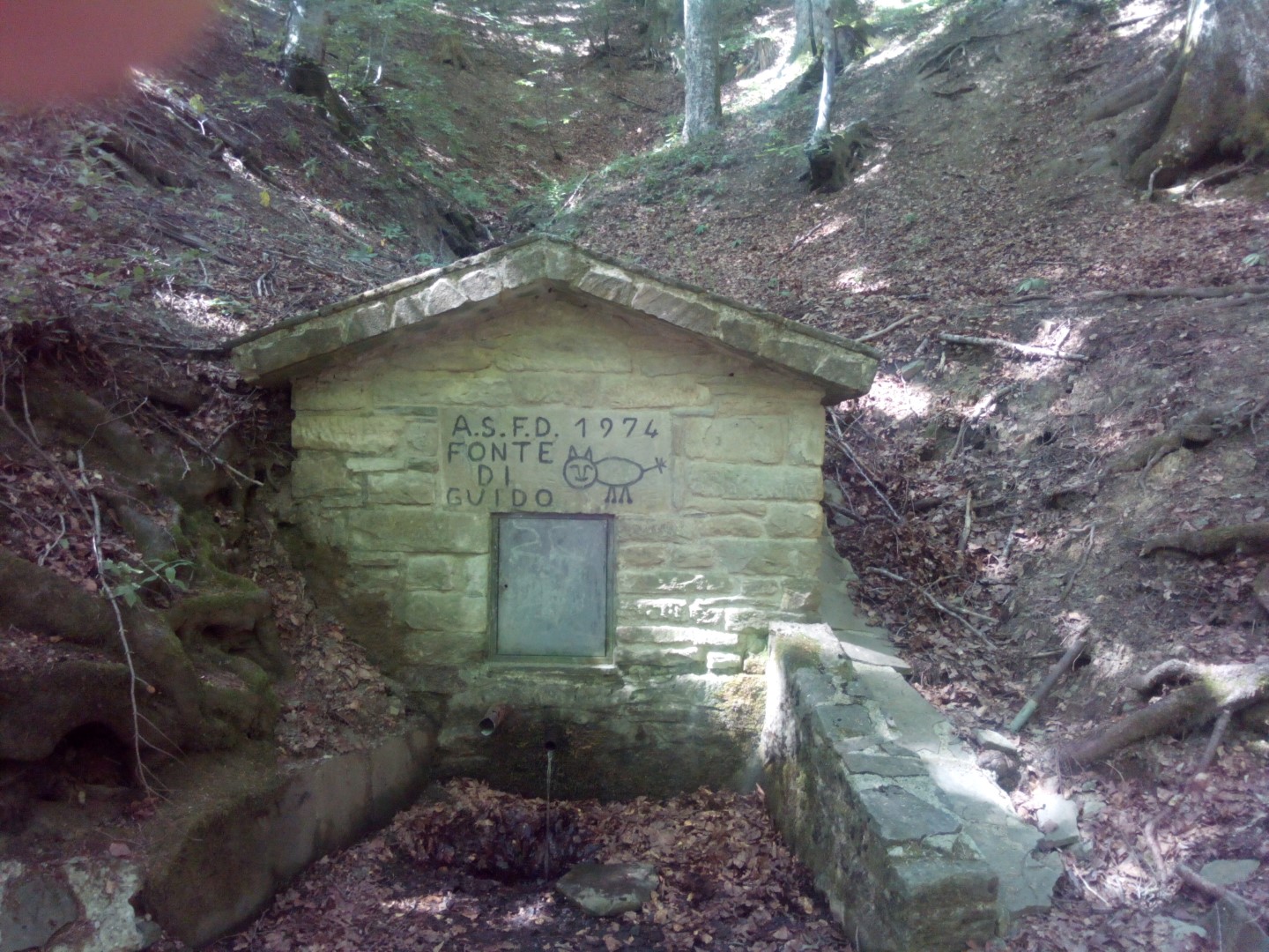 Escursione sul Monte Penna di Camaldoli escursione in casentino